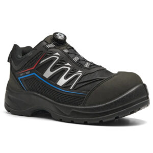 AcesafeT Causal model _PUKKA_ (19707) 4